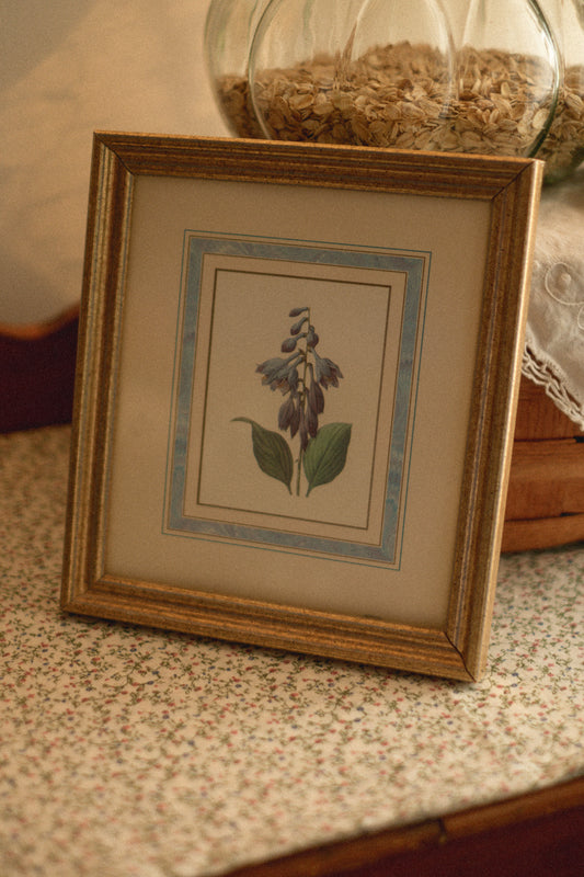 Vintage gold apothecary floral picture frame