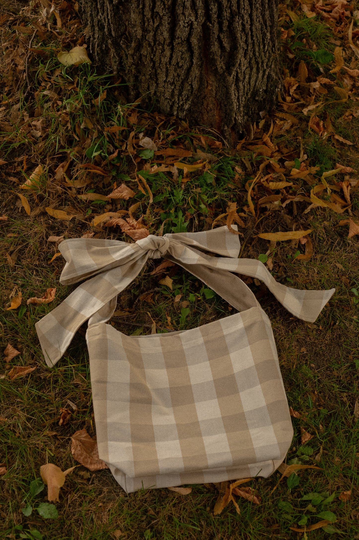 Handmade Ribbon bow tote - Gingham🍏