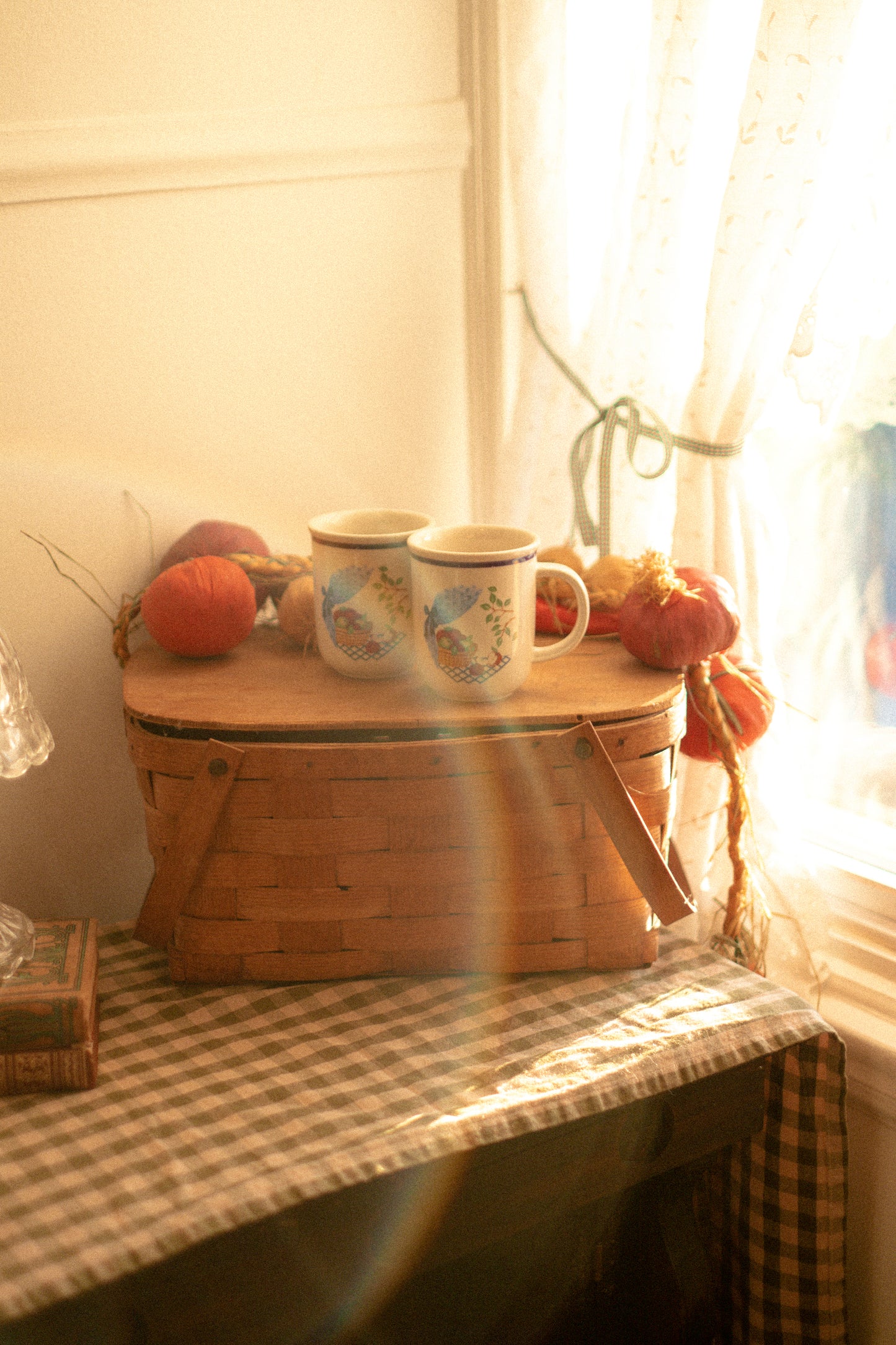 Vintage cozy cottage apple mug set🍎🧺