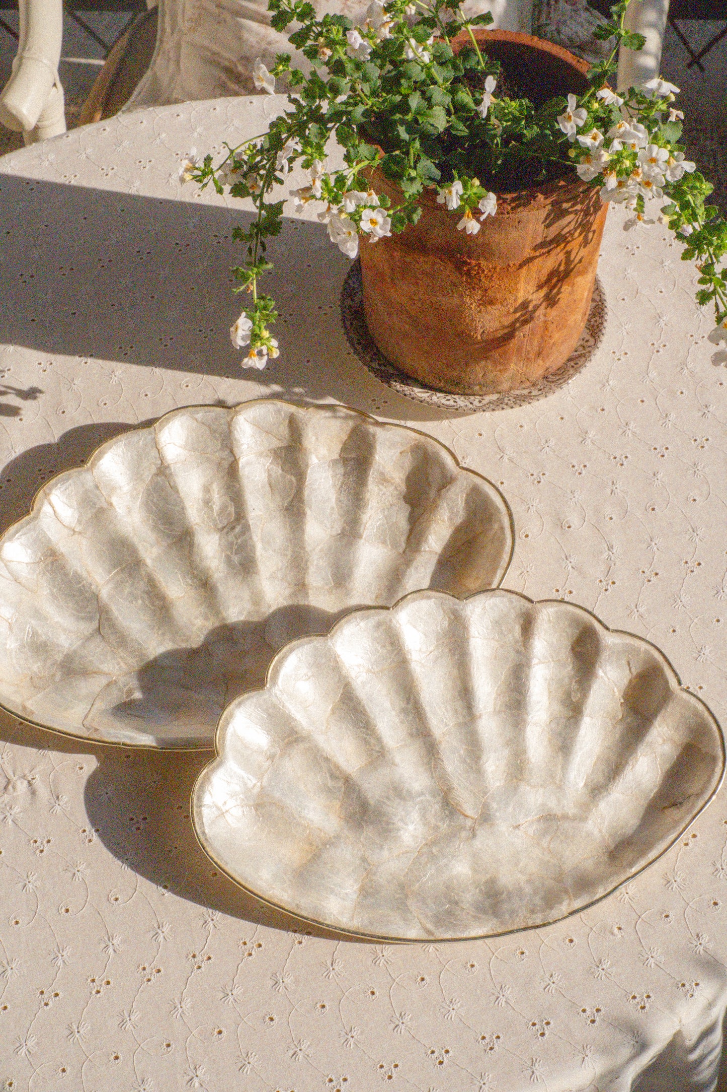 Vintage seashell tray set