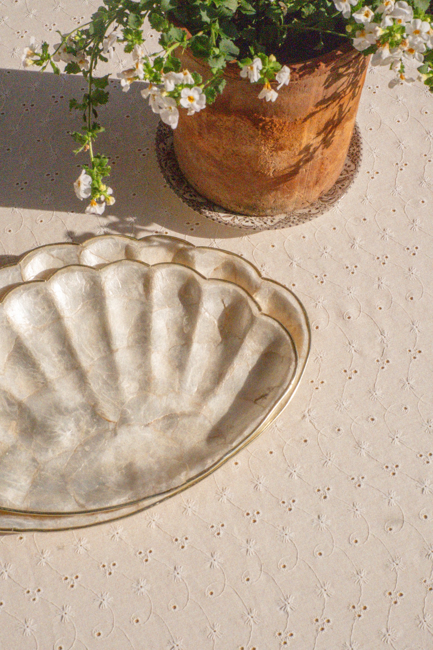 Vintage seashell tray set