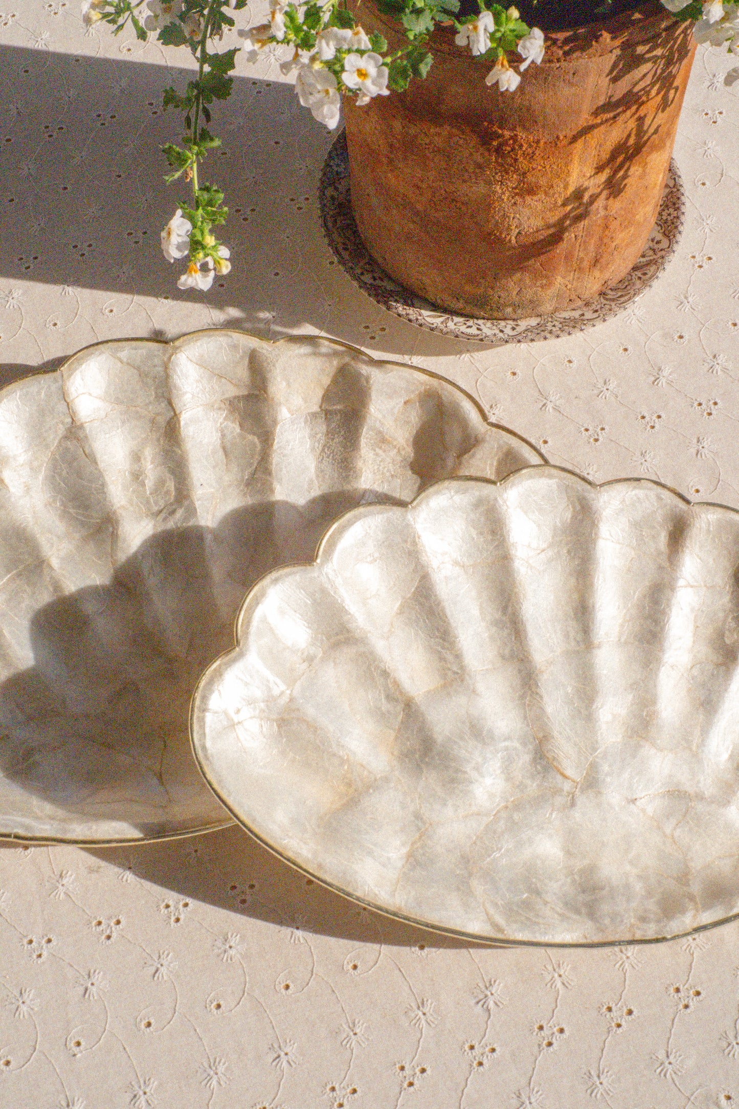 Vintage seashell tray set