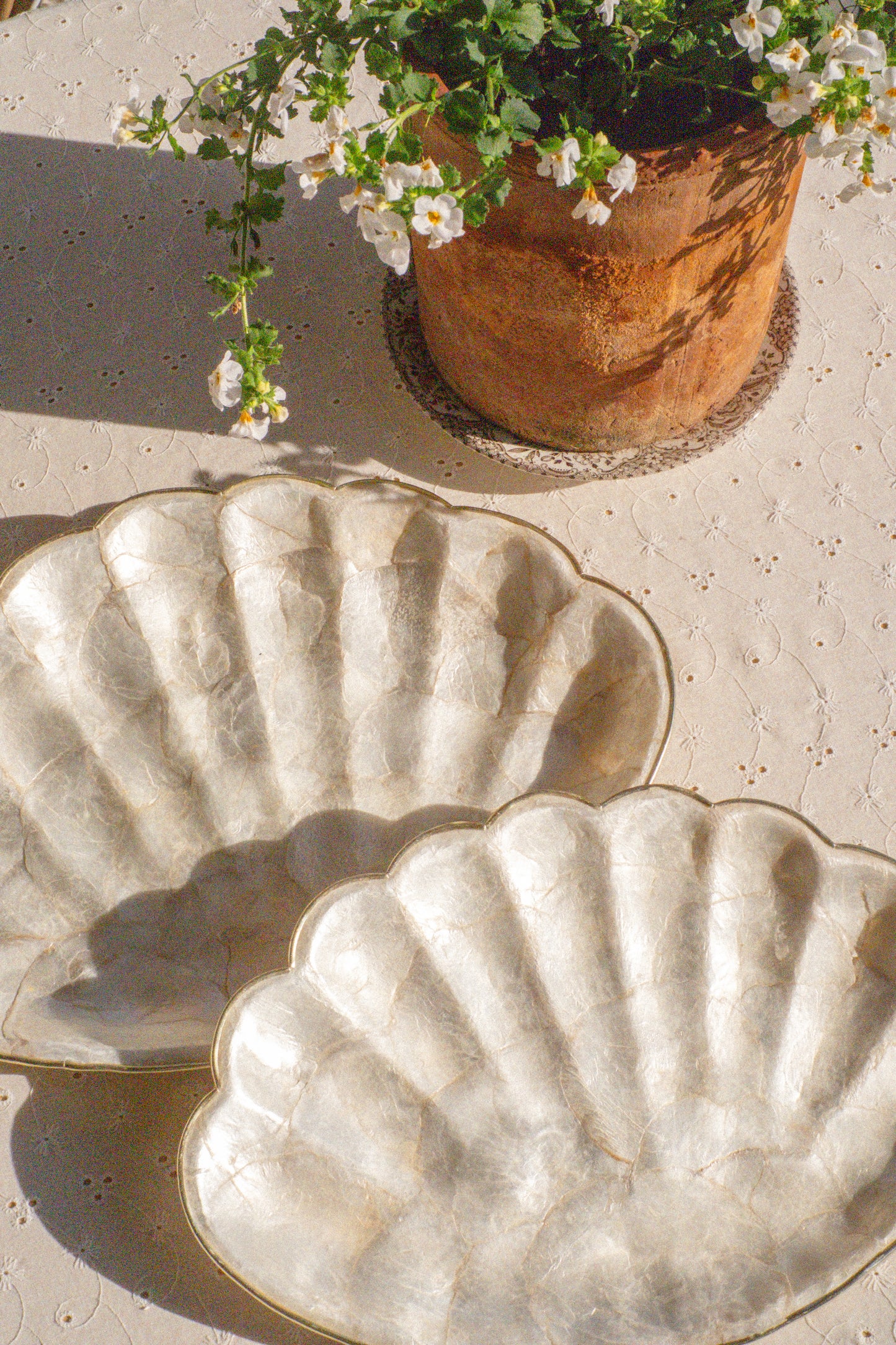 Vintage seashell tray set