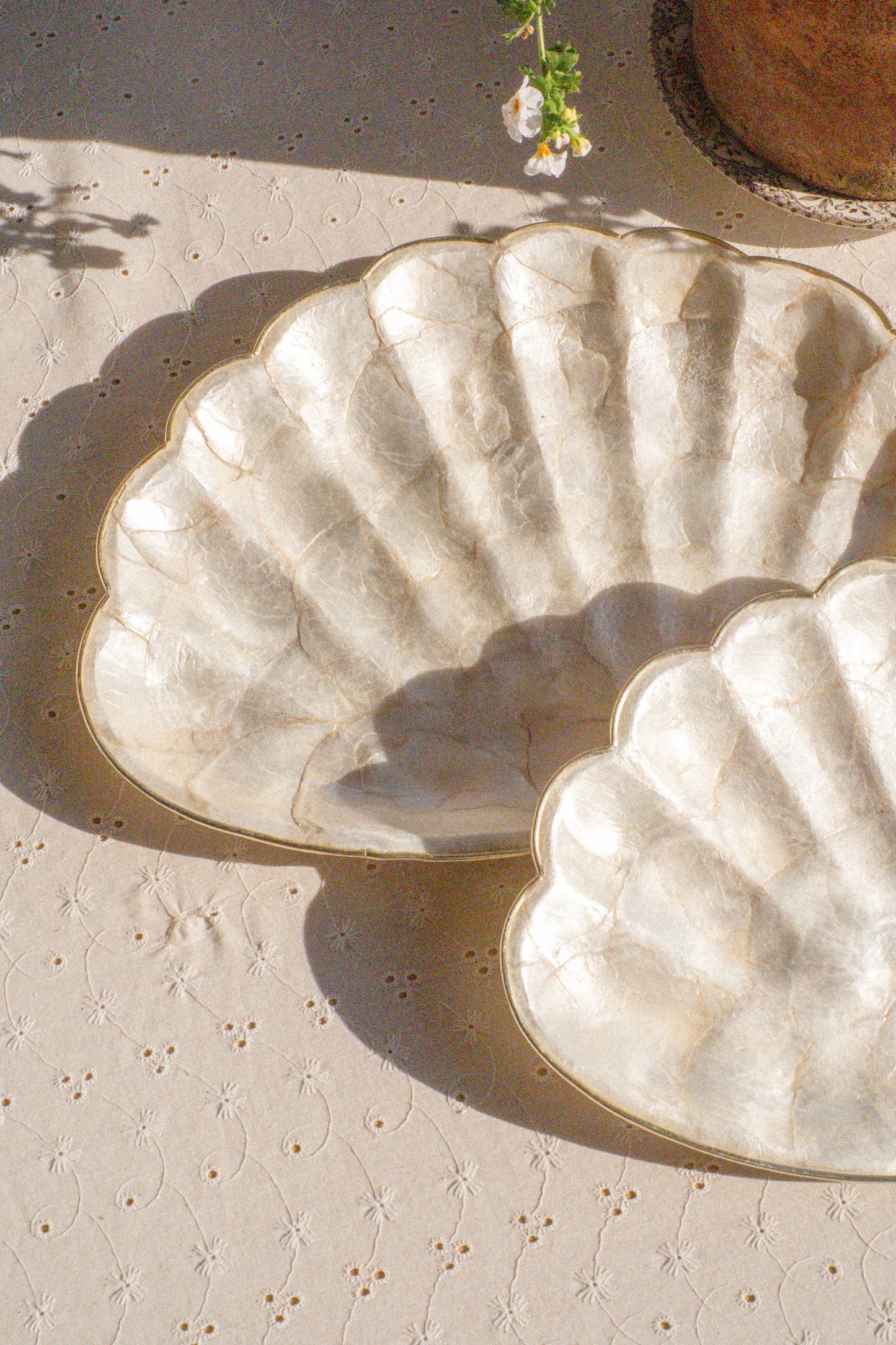 Vintage seashell tray set